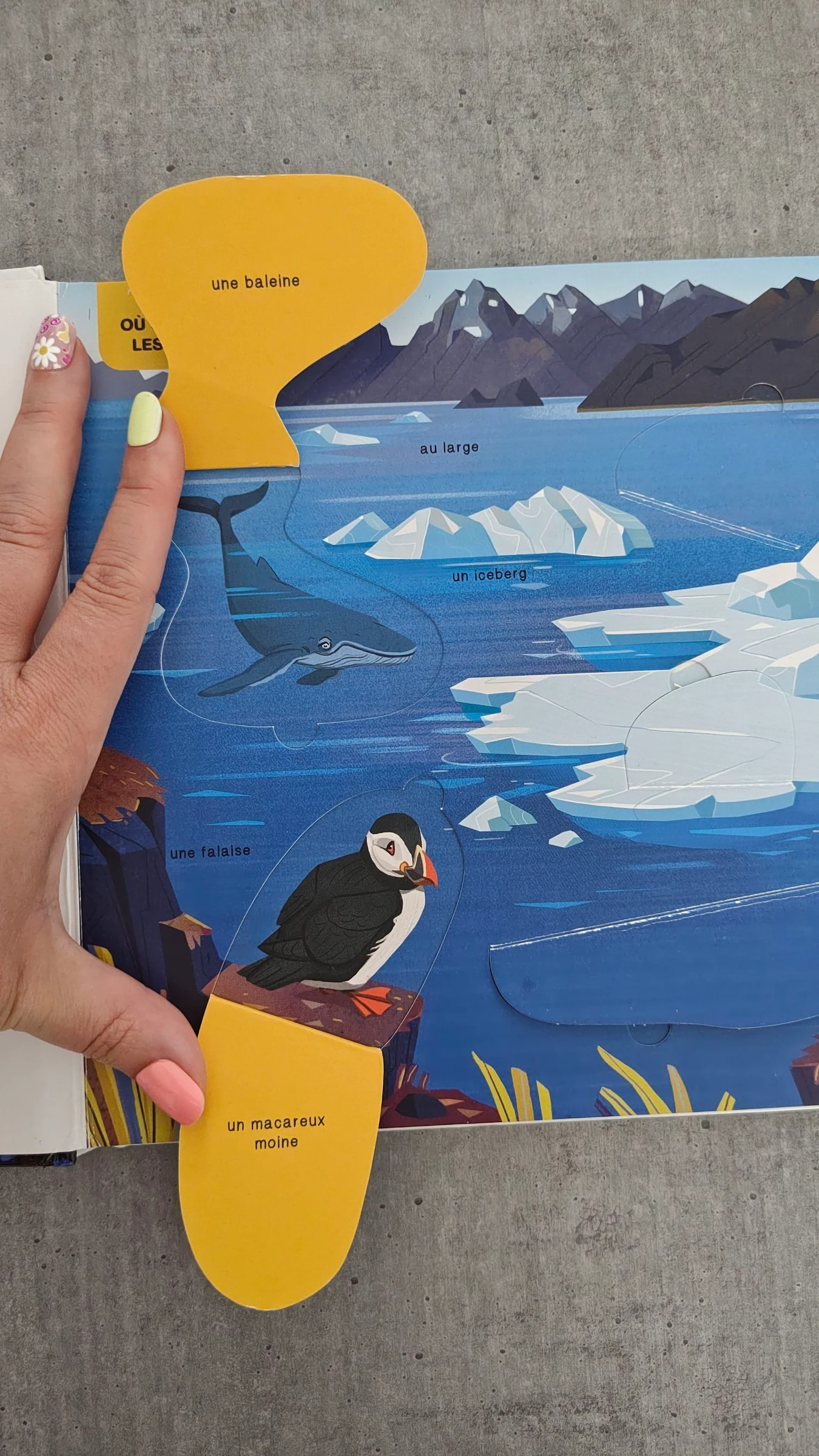 Children's book The Animals of the Ocean - flap doc SA – photo 5